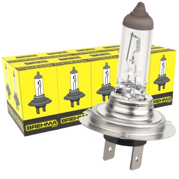 TECTICO H7 24V 70W LKW Halogen Birne Warmweiß +130% Ultra Heller Fernlicht  Abblendlicht Tagfahrlicht Lampe Ersatz für Lastwagen, 2 Stücke : :  Auto & Motorrad