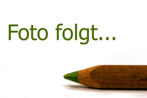 Hohlraum- und Unterbodenschutzpistole Druckluftpistole für Hohlraumwachs und Unterbodenschut